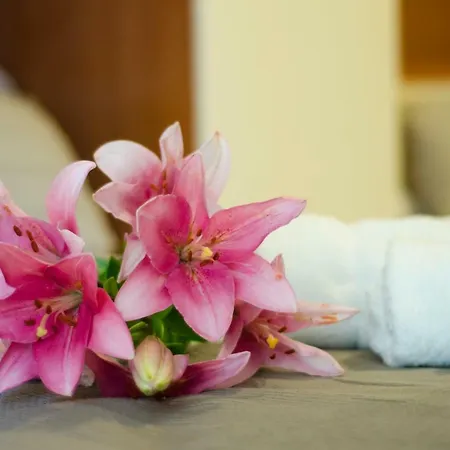 A Casa Di Anna アパート ラヴァーニャ